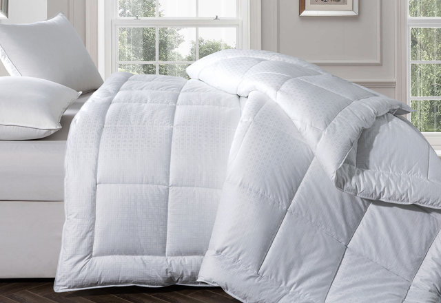 Duvet Inserts & Comforters For Less